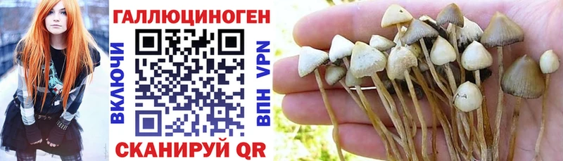 hydra зеркало  Дудинка  Псилоцибиновые грибы Magic Shrooms 
